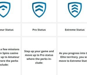 Captain Spins VIP program