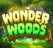 Wonder Woods 270 x 218