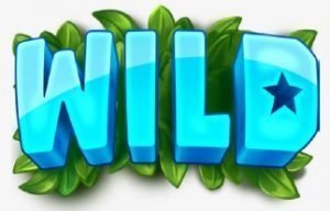 Wonder Woods Wild