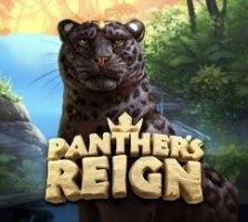 Panther's Reign 270 x 218