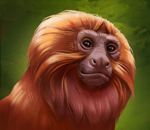 Panther's Reign Capuchin Monkey