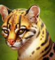 Panther's Reign Respin Feature