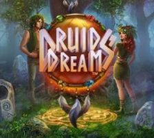 Druids Dream 270 x 218