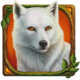 Druids Dream White Wolf