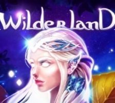 Wilderland 270 x 218