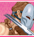 Street Fighter II Wild Combo