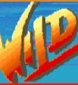 Street Fighter II Wild Gauge