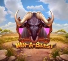 Win a Beest 270 x 218