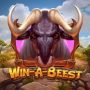 Win a Beest 320 x 320