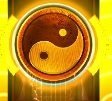 AncientWarriors yin and yang wilds