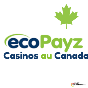 Ecopayz Casinos au Canada Icon
