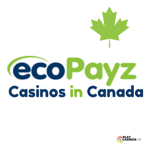 Ecopayz Casinos in Canad icon