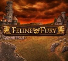 Feline Fury 320 x 320