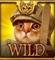 Feline Wilds