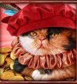 Free Spins