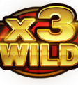 Multiplier Wilds